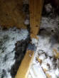 WM530/Resized_20201222_144545.jpg